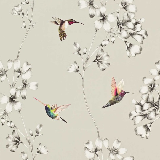 Harlequin 111062 Colour 2 Amazilia Silver - kwiatowa tapeta z motywem kolibrów