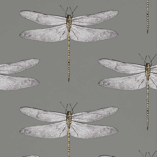 Harlequin 111242 Colour 2 Demoiselle GRAPHITE/ALMOND - szara tapeta z motywem ważki