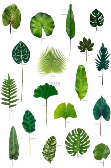 Tapeta Esta Green House 158831