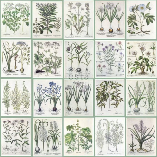 Tapeta Esta Green House 158826
