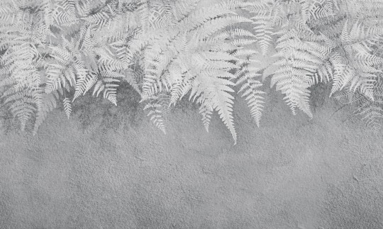 Wall Art Lacerta - mural z motywem liści paproci na betonowym tle