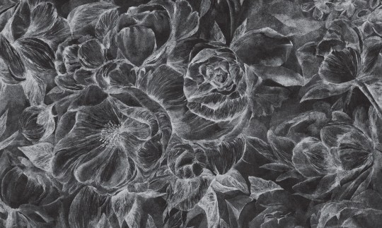 Wall Art Brassica Dark - mural w szkice kwiatów na czarnym tle