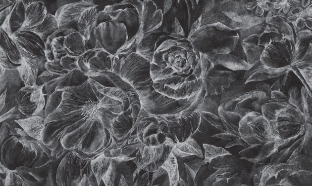 Wall Art Brassica Dark - mural w szkice kwiatów na czarnym tle