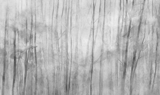 Wall Art Mori Grey - mural z motywem szarego lasu