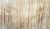 52eab927539caba7740b60e720f6ace2
