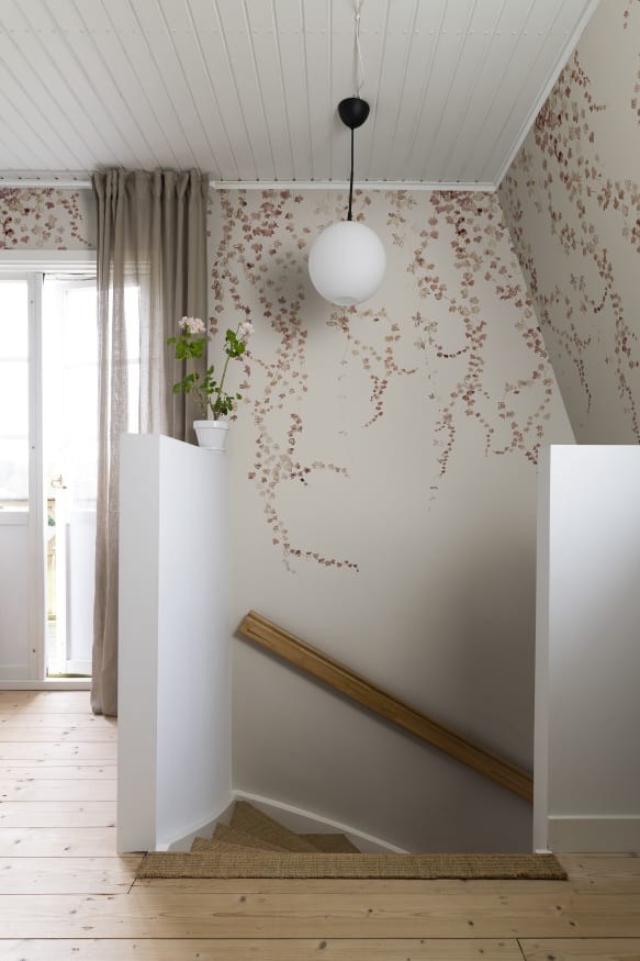 Sandberg S10175 Huset i Solen Aralia  Burgundy - mural z motywem bluszczu