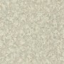 88117207.jpg