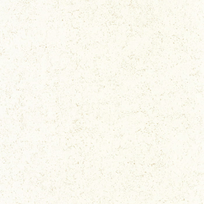 88090220.jpg
