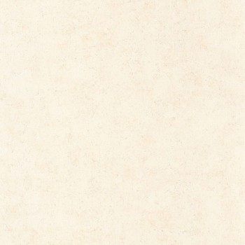 88091138.jpg
