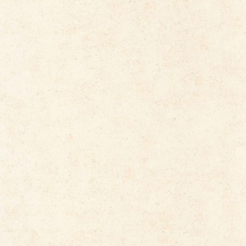 88091138.jpg