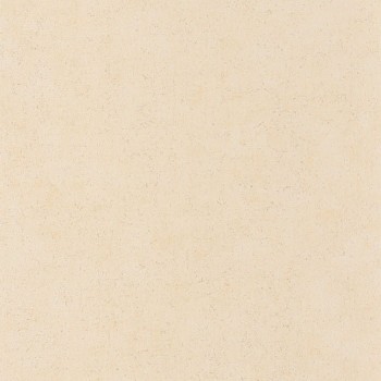88091212.jpg