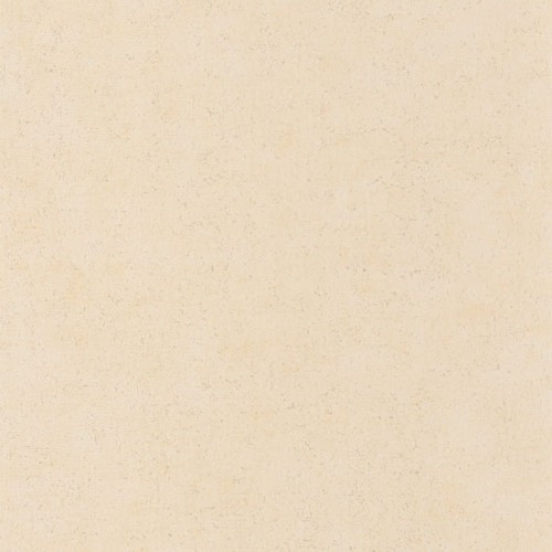 88091212.jpg