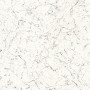 88080333.jpg
