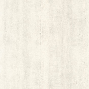 88069141.jpg