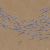 d248daff486f48a38bf3e70b0f76fbc9