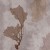 46ee8b5ab170ef3ab1bcdf3a1ab316b0