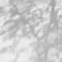 cf583ec130783173886515d03dc6db83