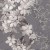 4903309a502dbcda25a336f229163275