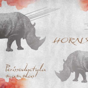Yo2 GV1.02 IS Gross Viles - mural motywem nosorożca i starego listu