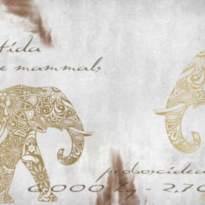 5a3204d460b5ab1d8e6dd7db3b4cc06a