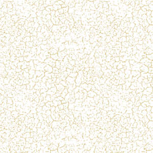 a9a27f8ab9b9214deea22af204cc49c3