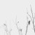 35bc953cd75b6d2eab354fc2507a10cd
