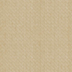 77f88e4f7fbaaec0eb2d15901a5a480c