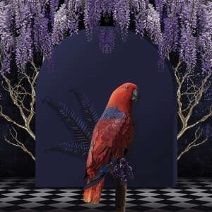 Yo2 FA1.04.1 FF/GL Fantasmagoria - mural z motywem papugi, łuku i kwiecistych drzew