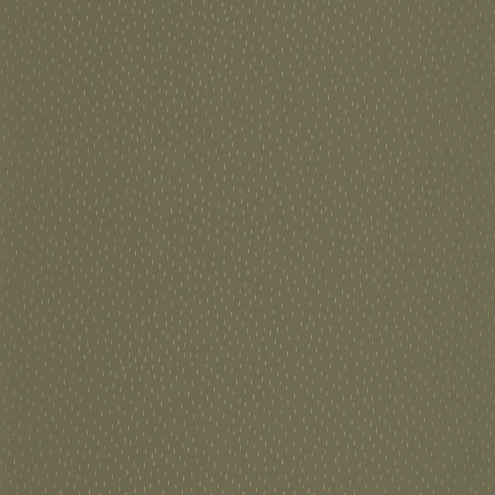 103737051.jpg