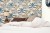 epo-palmeraie-bleu-indigo-camel-103696027-eden-beige-103731015-zoom.jpg