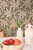 epo-paradisio-kaki-dore-103707143-zoom.jpg