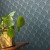 Caselio Golden Age Edgar 3.jpg