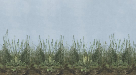 Boras Tapeter 9473W Studio Morning Mist - mural poranna mgła