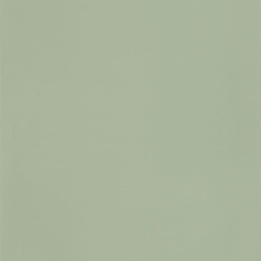 Casadeco 69867200 Once Upon A Time Smile Uni Vert de gris - zielona tapeta jednokolorowa