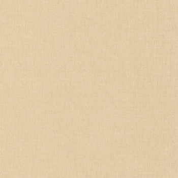 68521520.jpg