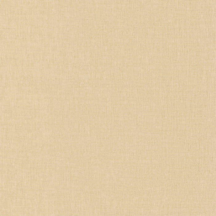 68521520.jpg