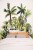 Caselio Green & Co Fidji Vert.jpg