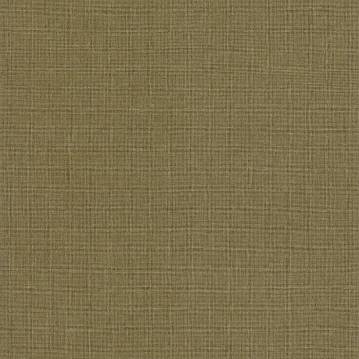104017342.jpg