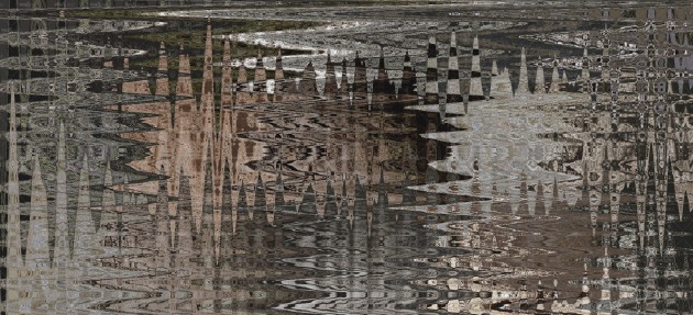 Wall&Deco WET_LW2201 LiquidWood Wet System - mural z motywem segmentów drzewa