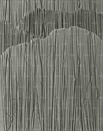 Wall&Deco WET_ST2202 Steli Wet System - mural inspirowany ziemią