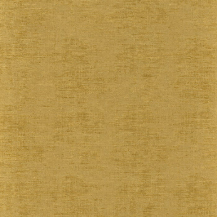 74394554.jpg