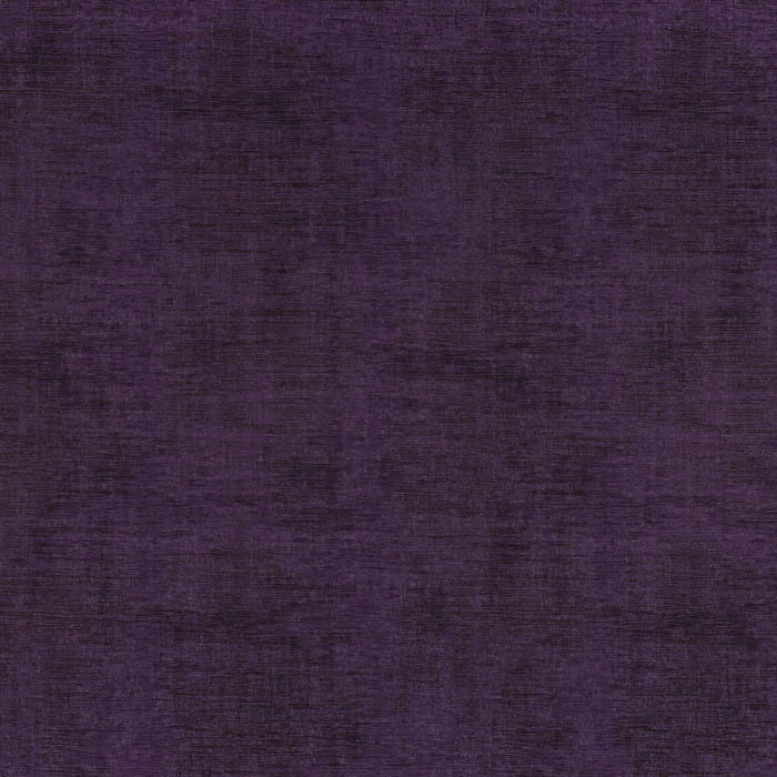 74396288.jpg
