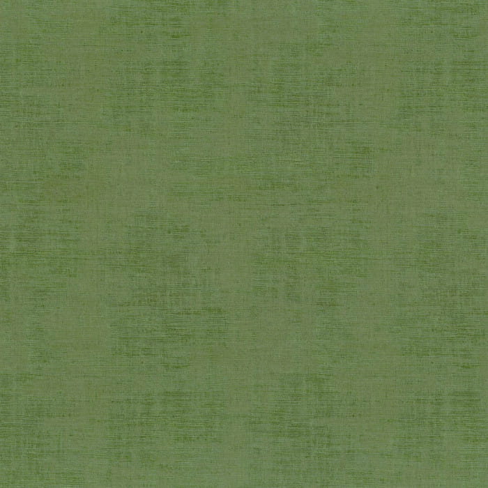 74395778.jpg
