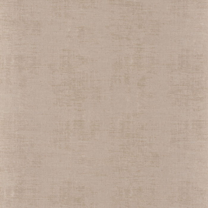 74392310.jpg
