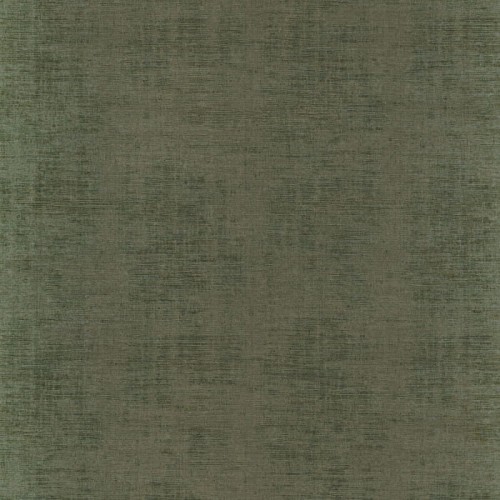 74393024.jpg
