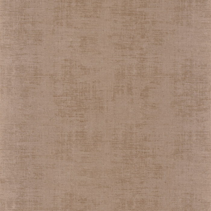 74392412.jpg