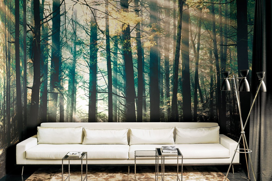 London Art DSQ2W01-01 Dsquared2 Canadian Forest - mural z motywem lasu