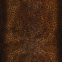 animalier-behang-londonart-selected-wallpapers-by-oostendorp-31151337.jpg