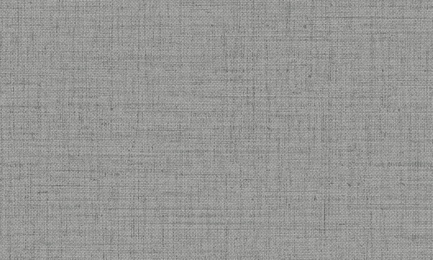 Arte 27009 Textura Puro Granite - szara tapeta z błyszczącym wykończeniem