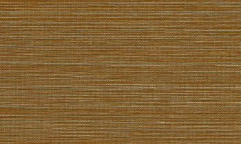 0c24d50ef112c7faff5e42fa887dbb22